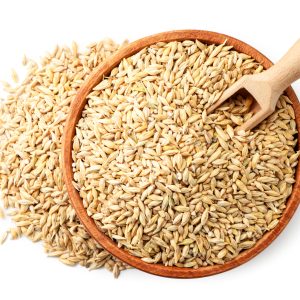 Barley grains in a wooden plate with a spatula close-up. Isolated